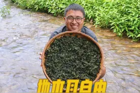 地木耳实现自由，冬宝去山里扯一大筐，和10个鸡蛋煮一锅，真香