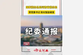 国家税务总局河南省税务局原党委书记、局长智勐被查 #河南视频封面