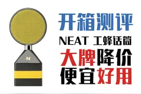 卷王话筒！拒绝躺平卷出未来！NEAT工蜂电容话筒测评