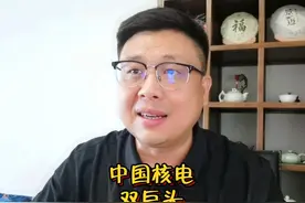 中国核电双巨头 #核电站 #产能 #毛利率 #股票 #投资视频封面