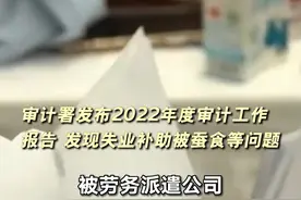审计署发布2022年度审计工作报告 发现失业补助被蚕食等问题#就业 #审计视频封面