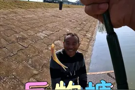 在巨物黑坑玩小物钓是种什么体验？ #小物钓 #钓鱼人 #神窝米 #钓鱼人就是这么疯狂 #敏感熊视频封面
