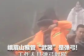 峨眉山猴管“武器”是弹弓！工作人员弹弓射猴 景区回应：防止野猴抢游客东西视频封面