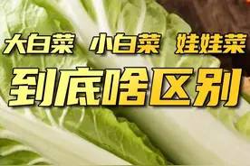 #大白菜、#小白菜、#娃娃菜，是“亲戚”吗？#生活小常识视频封面