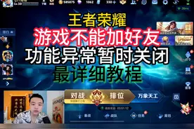 功能异常，暂时关闭。不能加好友轻松解决。 #王者荣耀