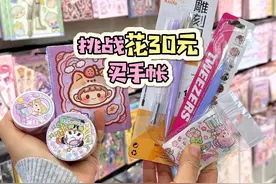 挑战花30元在实体店买手帐，手帐入门工具一套配齐视频封面