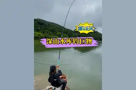 探钓深山水库，这场鱼钓到我心潮澎湃......#户外 #野钓 #2024dou来钓鱼 #原来钓鱼才是抖音运动顶流 #老坛甜薯视频封面