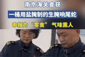 蛇年的第一个受害者出现了，南京海关查获一桶申报为“零食”的生腌响尾蛇
