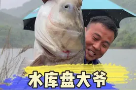 收费20的水库 竟然有这样的鱼情 #原来钓鱼才是抖音运动顶流 #2024dou来钓鱼 #dou是钓鱼人 #盘老板还是钓鱼圈顶流视频封面