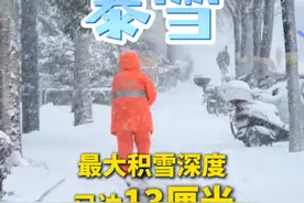 #济南暴雪停课  ！#山东最大积雪深度已达13厘米  #山东超百个高速公路收费站封闭视频封面