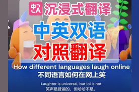 实现中英双语对照翻译，双语显示翻译浏览器插件，沉浸式翻译视频封面