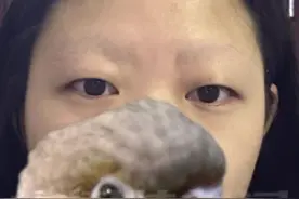 天塌了！女子忙工作，让鹦鹉在头上自己玩，一抬头发现眉毛被鹦鹉拔完了……#离谱 #万万没想到 #萌宠出道计划 #鹦鹉视频封面