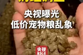 #央视曝光低价宠物粮乱象  央视曝光视频封面