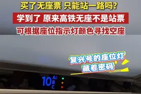 买了无座票 只能站一路吗？学到了 原来高铁无座不是站票，可根据座位指示灯颜色寻找空座#高铁 #座位