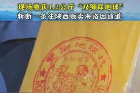 宝鸡警方侦破特大运输贩卖毒品案视频封面