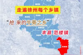 走遍徐州每个乡镇：“抢”来的牛蒡之乡——丰县范楼镇视频封面