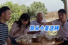 央视第一男团互损绝不留情，撒贝宁堪称显眼包冠军视频封面