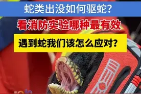 已进入蛇类频繁出没的季节，面对“不速之客”，如何有效驱赶成了焦点。蛇到底怕什么呢？#蛇  #驱赶蛇  #户外  #室内