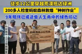 徒步12公里穿越荒漠抵达绿洲 200多人检查蚂蚁森林敦煌“种树作业”  9年陪伴已成这些人生命中的绿色印记 #支付宝 #蚂蚁森林