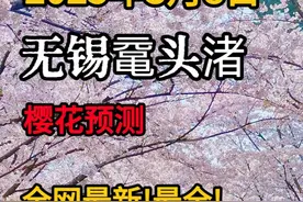 2025无锡鼋头渚赏樱攻略 | 带你一起云赏樱(二) 今天是3月8号视频封面