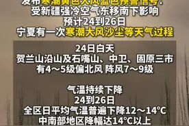 宁夏气象台发布寒潮黄色 大风蓝色预警 注意保暖防风 安全出行 #宁夏  #寒潮  #大风  （记者：米龙 马俊）视频封面