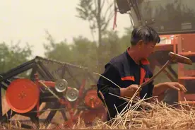 娃，地不种就荒了，地不敢荒！ #三根葱男团视频封面