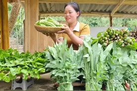妹子选择住在大山里，自己种植蔬菜，过着让人羡慕的田园生活视频封面