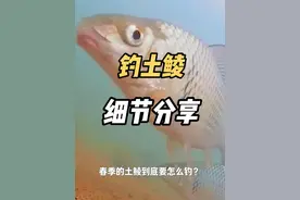 钓土鲮细节分享，让你原地起飞 最近钓土鲮，你是不是经常空军呢？用梅州钓法，是不是也不好钓呢？那么春季到底要怎么样才能钓好土鲮呢？一个月15天的作钓经验，总结一些细节，让你直接起飞#钓鱼 #土鲮 #钓鱼技巧 #野钓 #钓土鲮视频封面