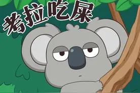 最惨国宝，可可爱爱的考拉竟然是吃便便长大的#奇妙的动物 #冷知识 #考拉视频封面