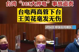 台湾“303大停电”事故追责，台电两高管下台，台经济部门负责人王美花毫发无伤！#台湾 #追责 #台湾大规模停电 视频封面
