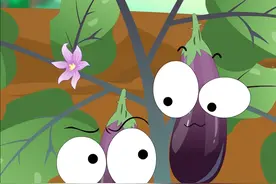 茄子把为什么会有刺，你了解吗？#奇妙知识在抖音 #我在抖音涨知识 #抖音原创动漫 #抖音动画短片 #茄子 #茄子把