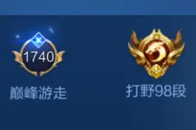 国服打野，但是巅峰游走！ #王者荣耀 #巅峰赛