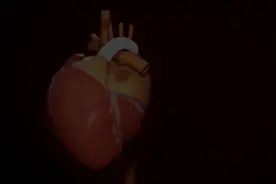 Fontan手术第三步骤视频封面