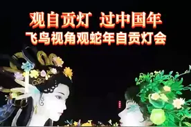 #观自贡灯过中国年 飞鸟视角观蛇年自贡灯会 #自贡观察2025  #自贡灯会2025#非遗贺新春  #非遗守护人  #非遗过年dou来播视频封面
