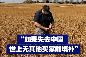 【“如果失去中国 世上无其他买家能填补” 美国豆农乞求特朗普】近日，美国大豆协会主席致信特朗普，恳求结束贸易冲突；美国豆农也表达了对失去中国市场的担忧。视频封面