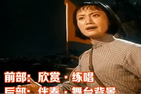 《杜鹃山》血的教训 A调 前部欣赏 后部伴奏 舞台背景视频封面