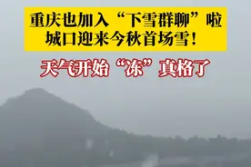 重庆也加入“下雪群聊”啦！11月4日，#重庆城口迎来今秋首场雪 ， 雪花飘扬，气温降至0℃左右。天气开始“冻”真格了！视频封面