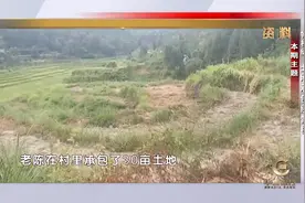 【承包地的调整】#民法典视频封面