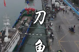 3月的#海刀鱼 的确鲜，怪不得再贵都有很多人寻它，唯一不好的就是骨头太多了。#我的农村生活 #宁波美食推荐官