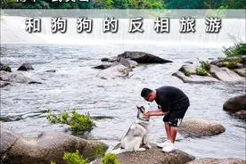 带狗狗反向旅行！武夷山的无人秘境，真香！ #带着狗狗去旅行视频封面