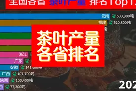千秋大业一壶茶，各省茶叶产量排名，云南险胜福建，你喜欢喝茶吗视频封面