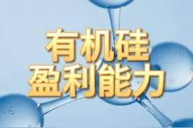 有机硅，盈利最强的10家企业 #有机硅 #盈利能力视频封面