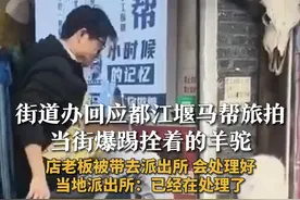 街道办回应都江堰马帮旅拍当街爆踢拴着的羊驼 店老板被带去派出所 会处理好 当地派出所：已经在处理了#羊驼 #都江堰 #虐待动物 #萌宠视频封面