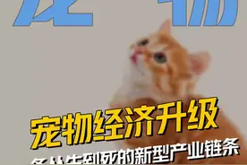 小小的宠物，千亿的市场 #宠物 #宠物经济 #财经 #掘金计划2024 #汇添富视频封面