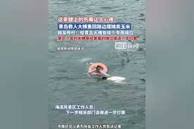 网友呼吁给卖玉米的救人大姨安排固定摊位，景区回应