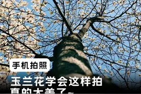 谁拍谁出片的拍花教程来啦 #玉兰花 #手机摄影 #拍照技巧 #拍照 #教程视频封面