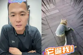 潘宏推荐宠物驱虫药 猫狗通用 体内外驱虫！ #潘宏 #宠物驱虫视频封面