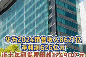 华为2024销售收入8621亿，净利润626亿元，近十年研发费用超12490亿元视频封面