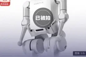 机器人半马亚军被拍卖 市场价88000元 以56806元成交 4月22日消息，在刚刚过去的周末，全球首次人类和人形机器人共跑的半程马拉松赛在北京亦庄举办。获得亚军的松延动力N2机器人，在本次比赛中因“小孩哥”健步如飞的形象引发关注。在赛后，亚军机器人松延动力N2上架拍卖平台，显示市场价88000元，以1元起拍，最终以56806元成交。与此同时，人形机器人半马亚军“小孩哥”的出圈，A股市场出现了”小孩哥“背后企业“松延动力概念股”，相关产业链企业、上市公司股东均被归纳在列，受到投资者关注。#小顽童机器人被拍走视频封面