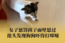 妈妈训娃扭头发现小狗吓得哆嗦 主人：可能是被自己吓到了#重庆视频封面